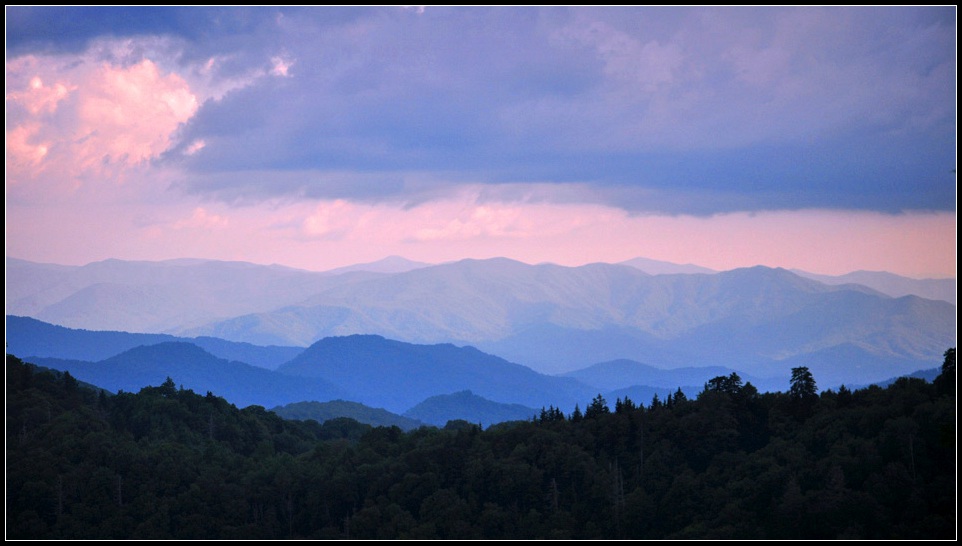 DSC_9858_1.jpg