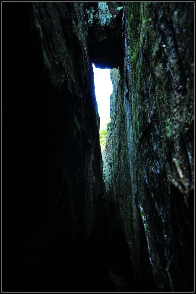 DSC_0790_1.jpg