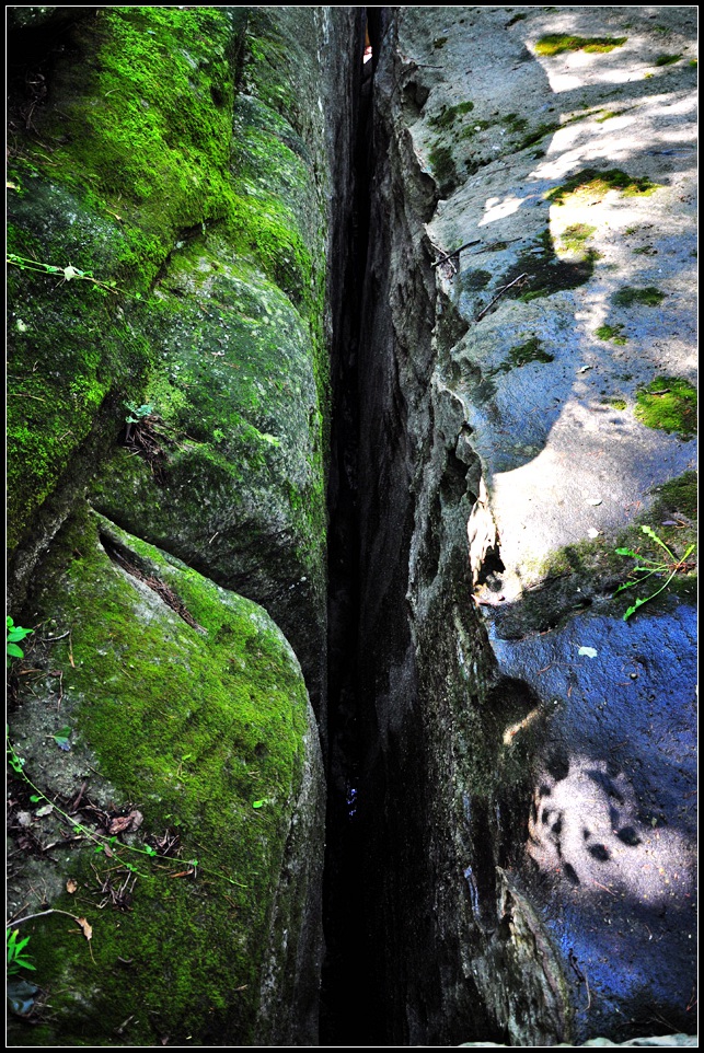 DSC_0812_1.jpg