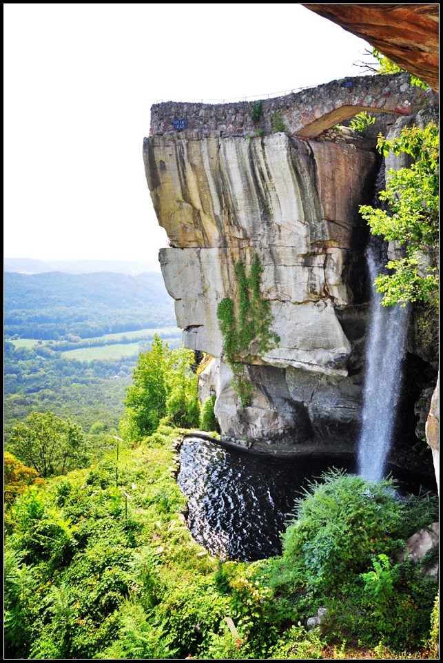 DSC_0982_1.jpg