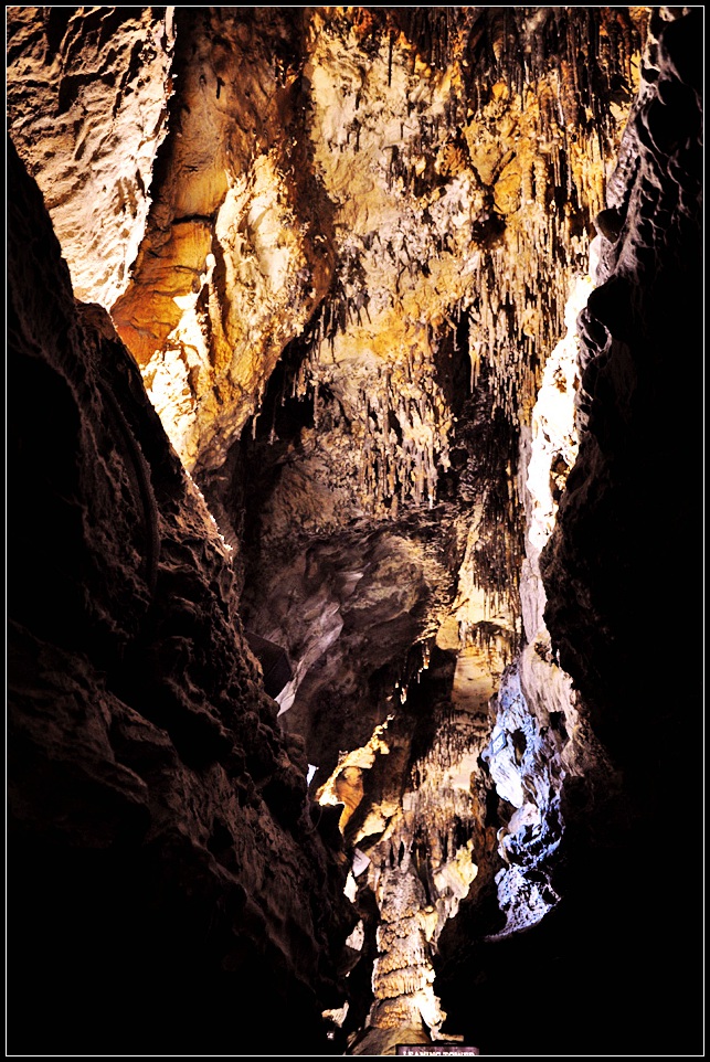 DSC_1171_1.jpg