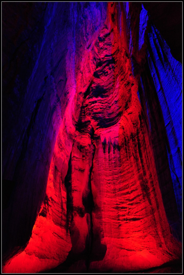 DSC_1195_1.jpg