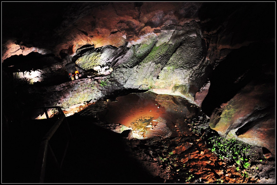 DSC_1292_1.jpg
