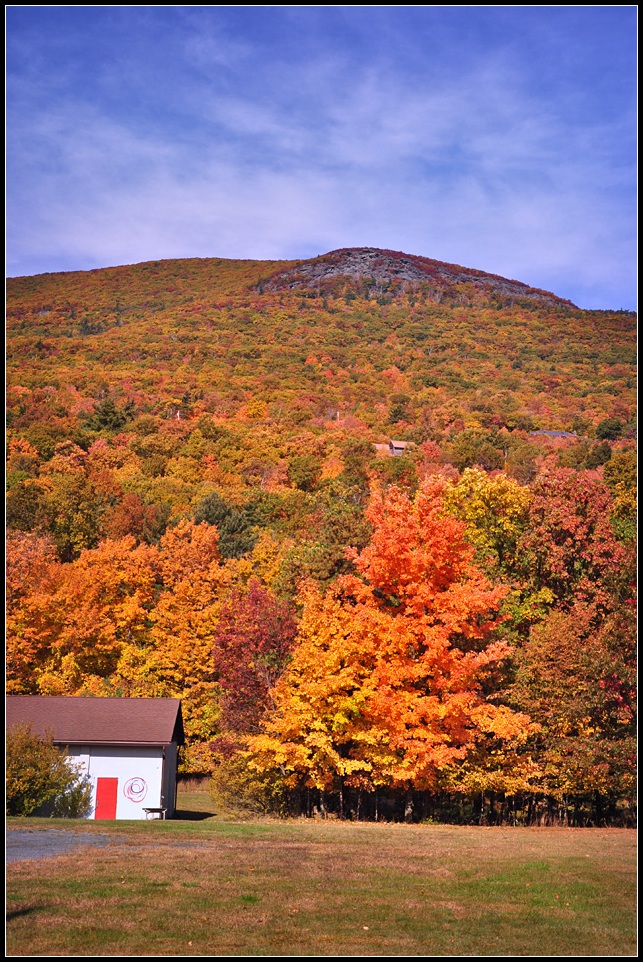 DSC_2581_1.jpg
