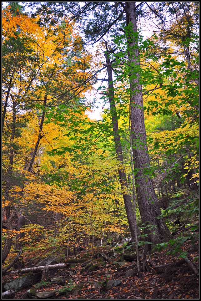 DSC_2626_1.jpg