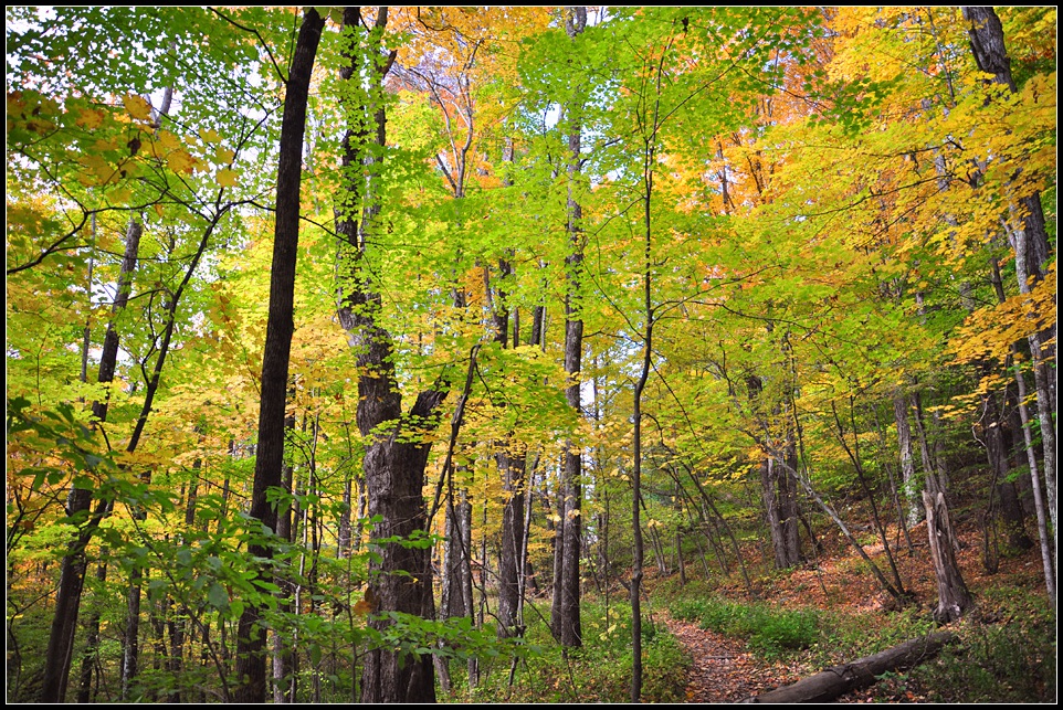 DSC_2647_1.jpg