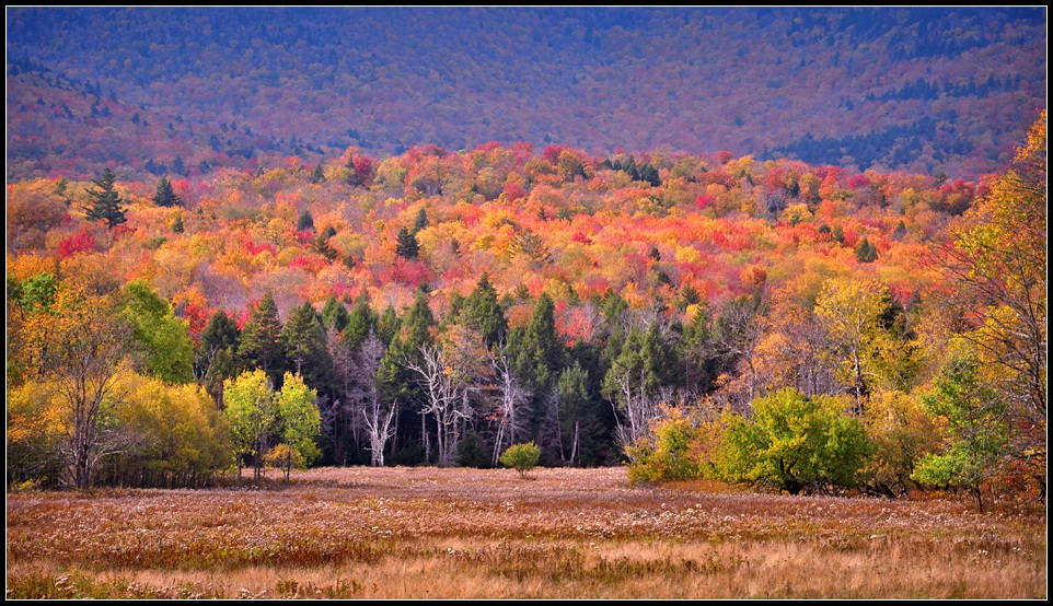 DSC_2664_1.jpg