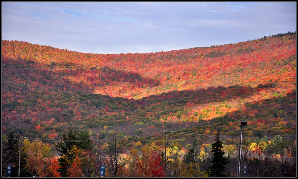 DSC_2709_1.jpg