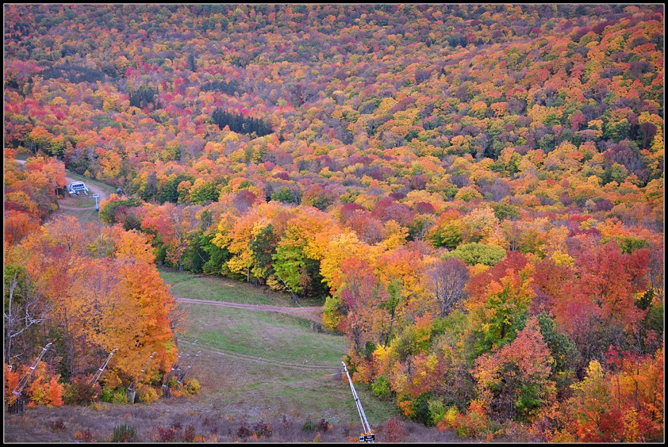 DSC_2816_1.jpg