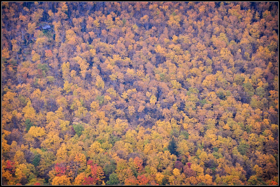 DSC_2868_1.jpg
