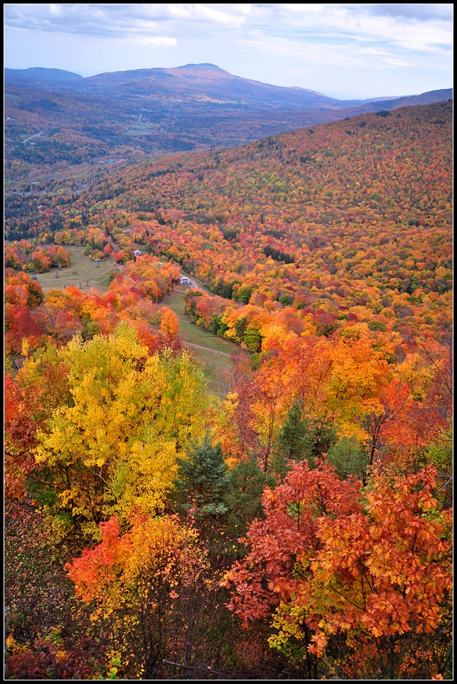 DSC_3006_1.jpg