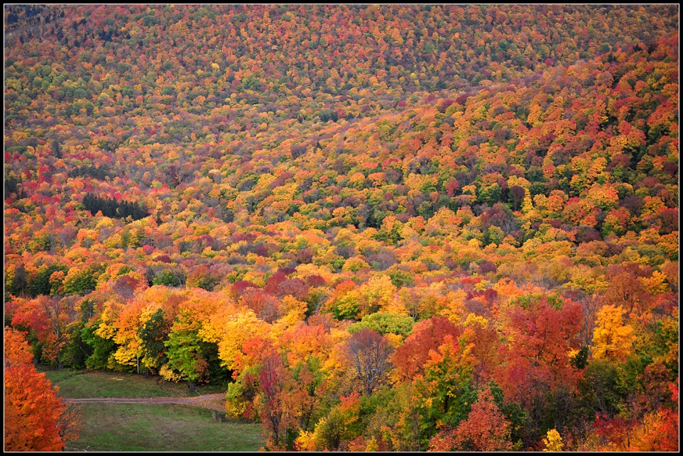 DSC_3012_1.jpg