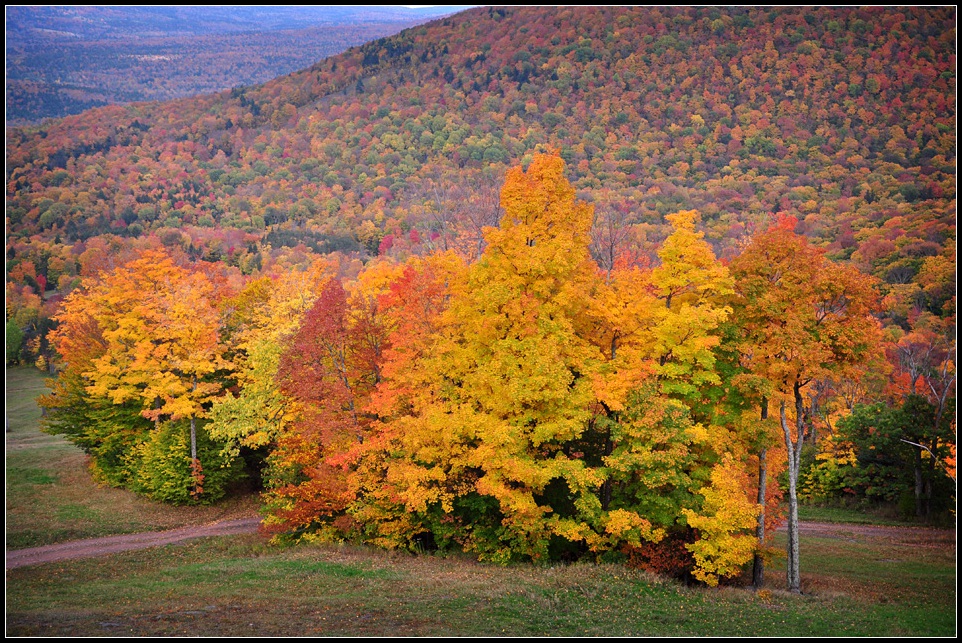 DSC_3023_1.jpg