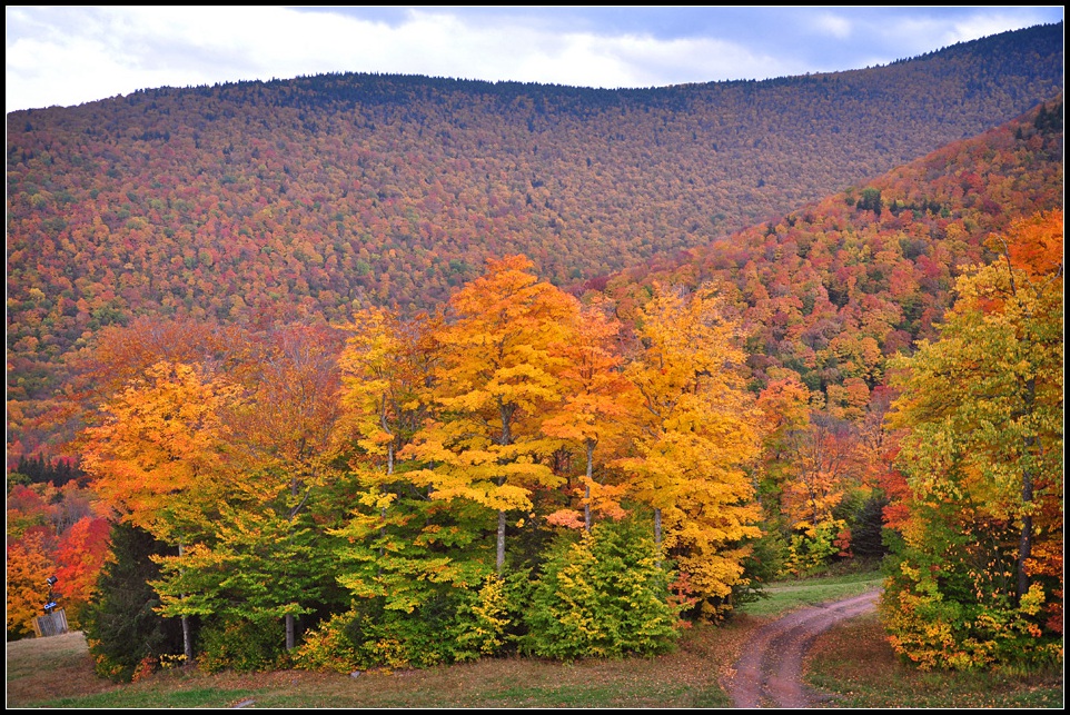 DSC_3026_1.jpg