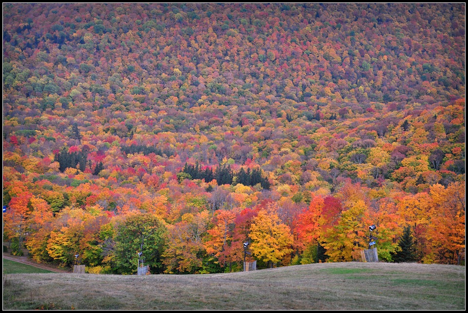 DSC_3028_1.jpg