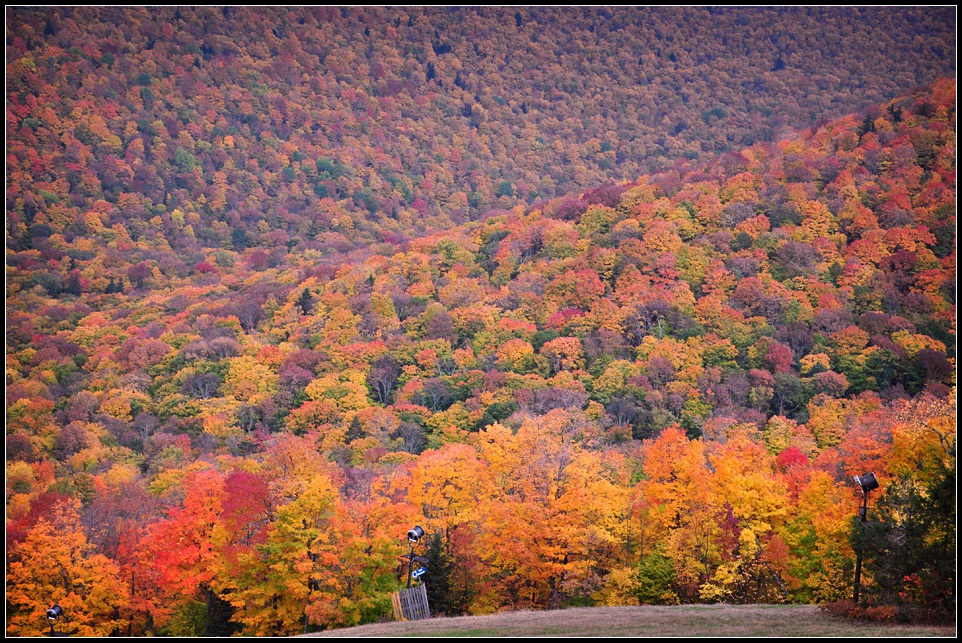 DSC_3029_1.jpg