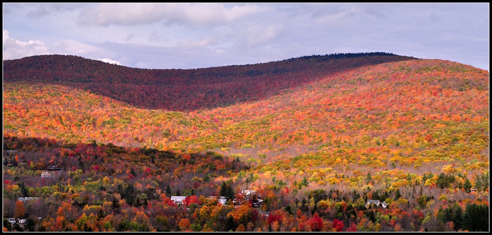 DSC_3054_1.jpg