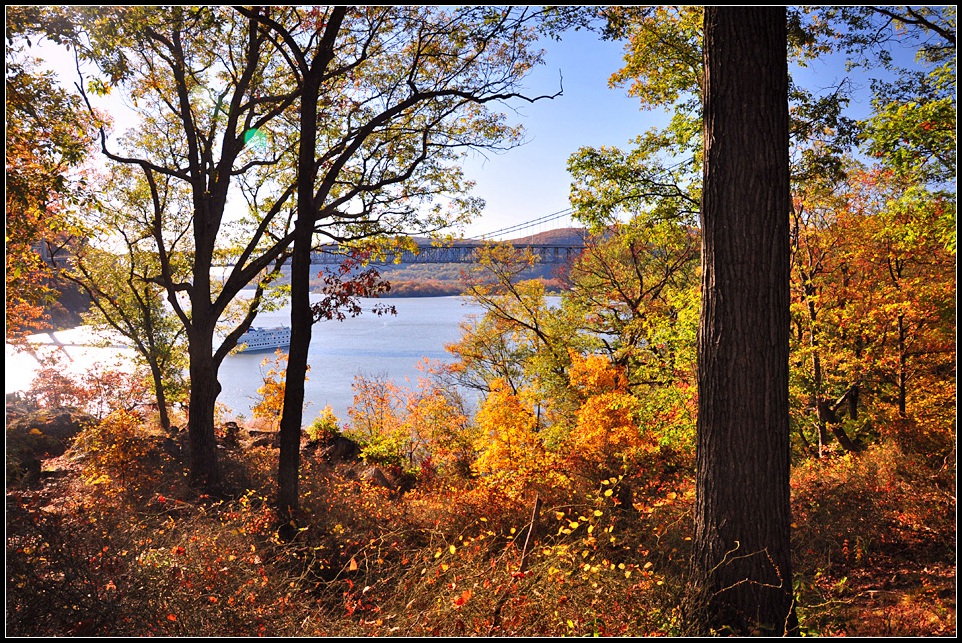 DSC_3239_1.jpg