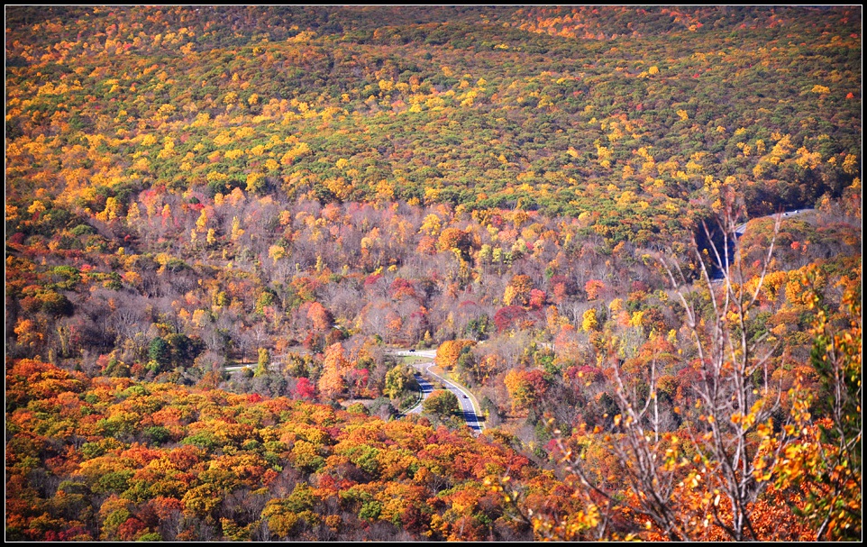 DSC_3347_1.jpg