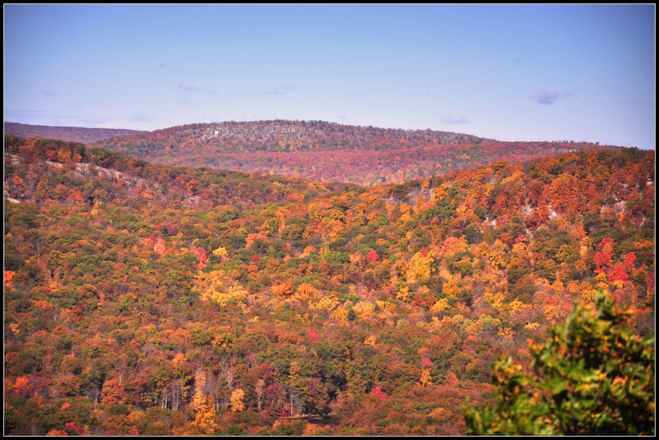 DSC_3363_1.jpg