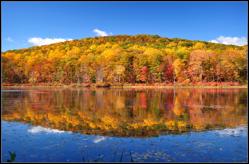 DSC_3551_1.jpg