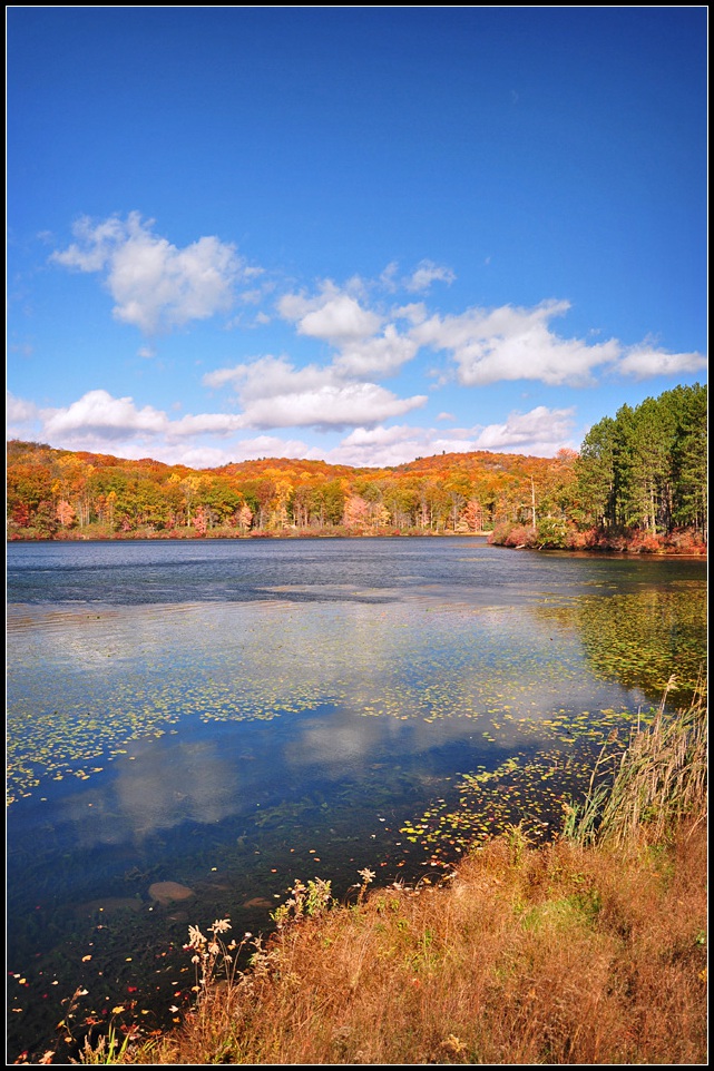 DSC_3659_1.jpg