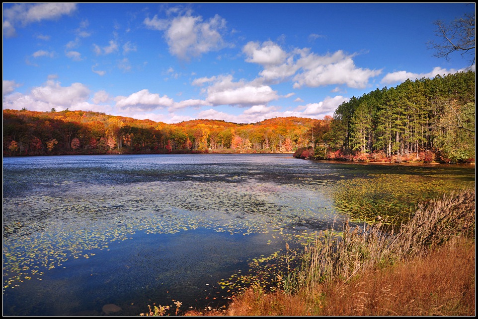 DSC_3663_1.jpg