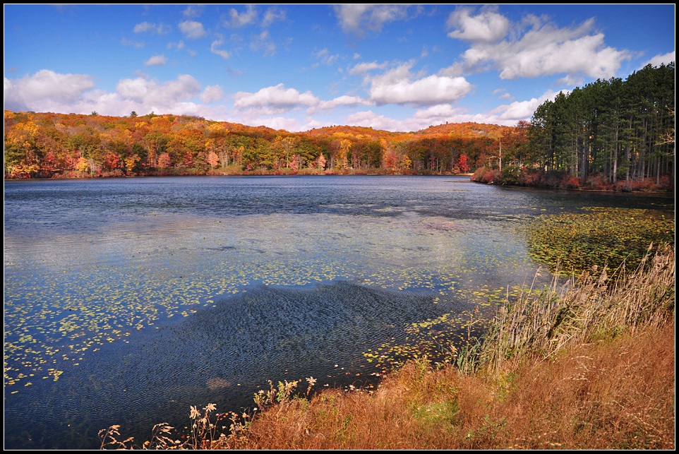 DSC_3665_1.jpg