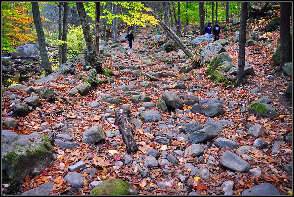 DSC_3720_1.jpg