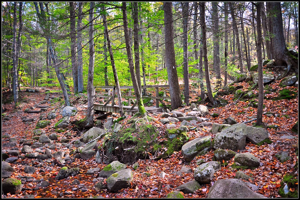 DSC_3721_1.jpg