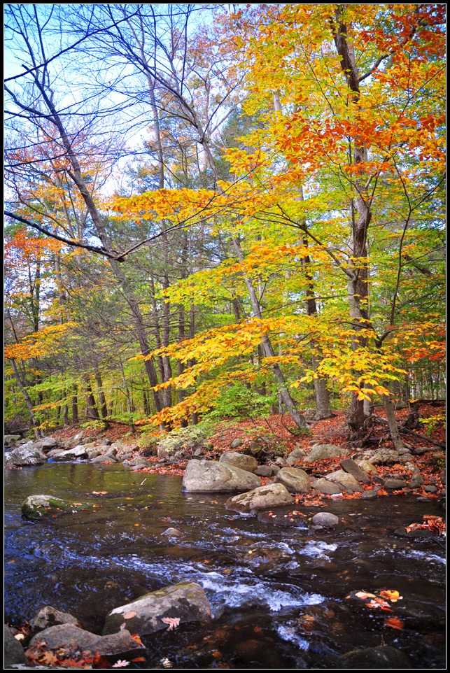 DSC_3737_1.jpg