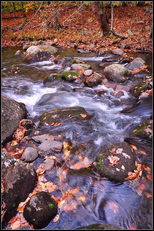 DSC_3754_1.jpg