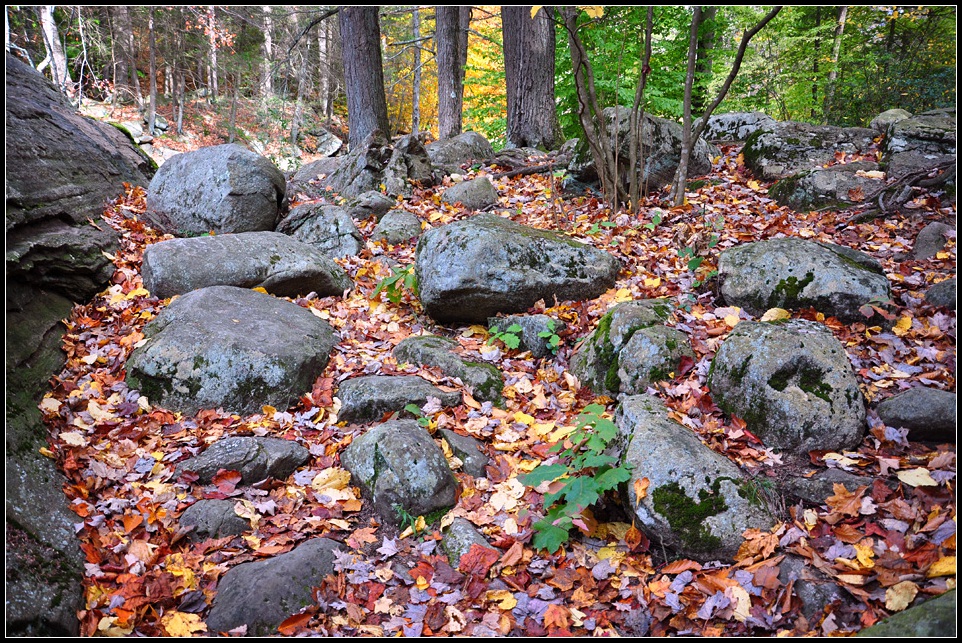 DSC_3767_1.jpg