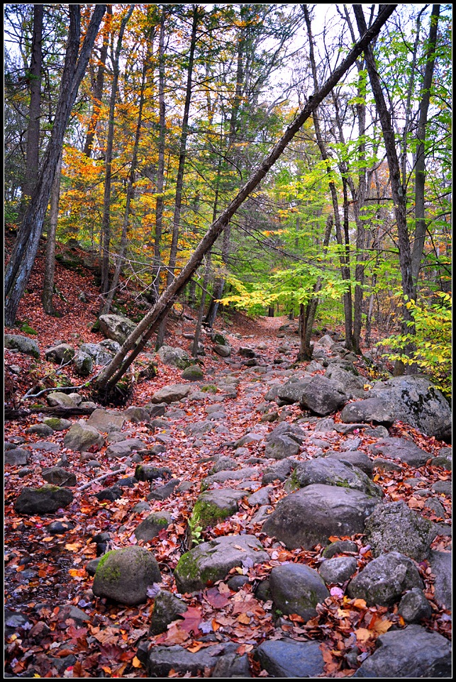 DSC_3832_1.jpg