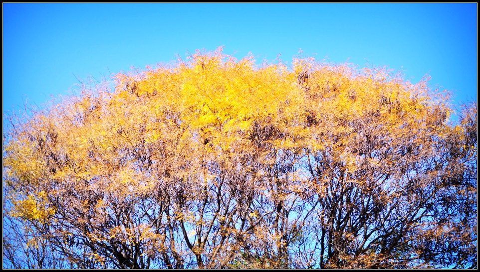 DSC_3861_1.jpg