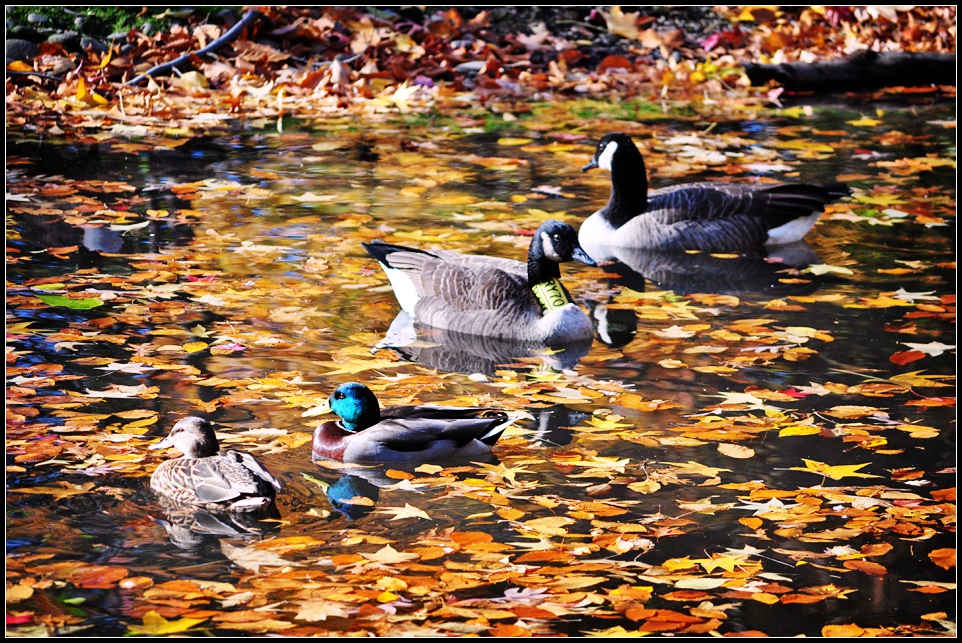 DSC_4169_1.jpg