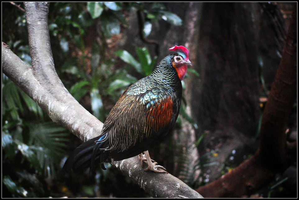 DSC_4258_1.jpg
