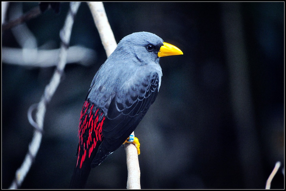 DSC_4278_1.jpg