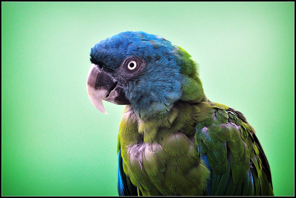 DSC_4284_1.jpg