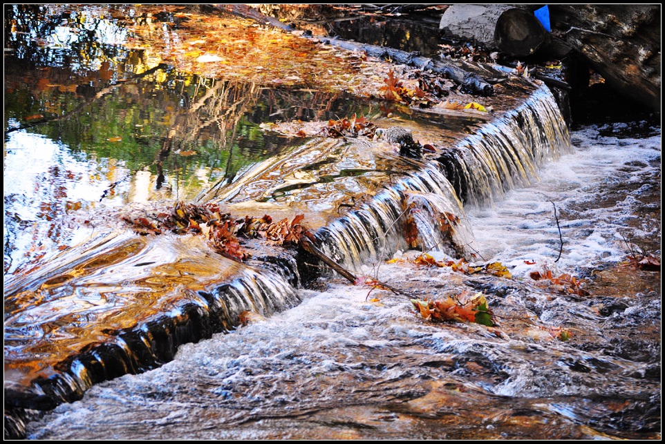 DSC_4301_1.jpg