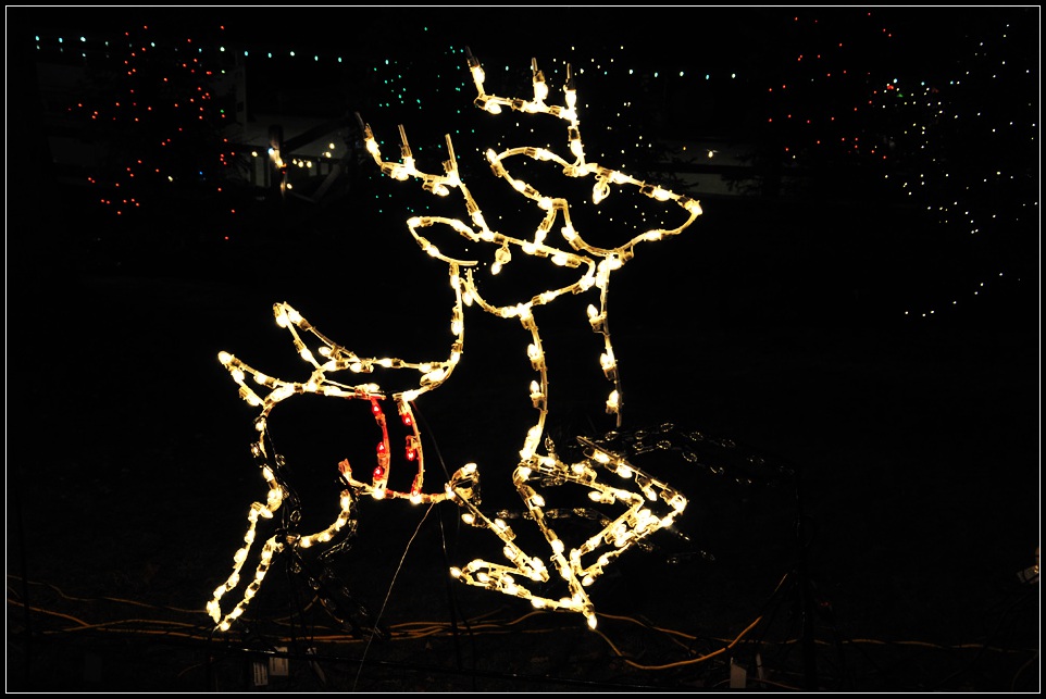 DSC_5637_1.jpg