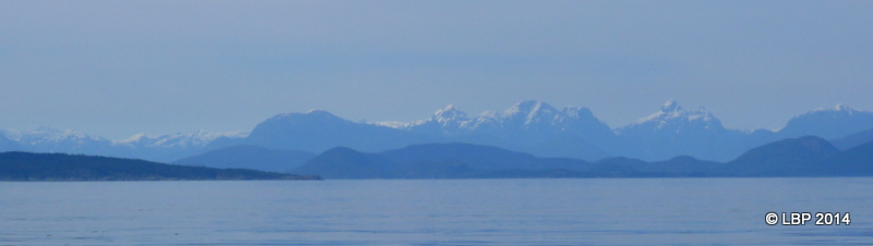 P1050941.JPG