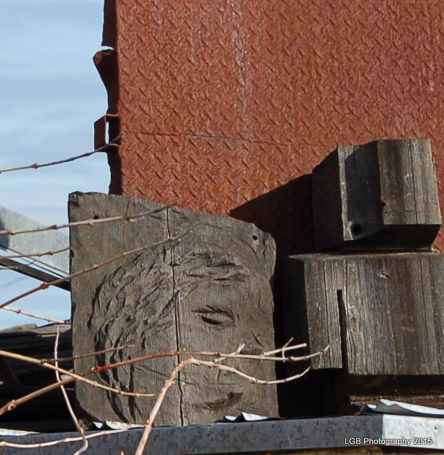 DSC_3539.JPG