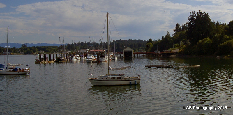 DSC_5856.JPG
