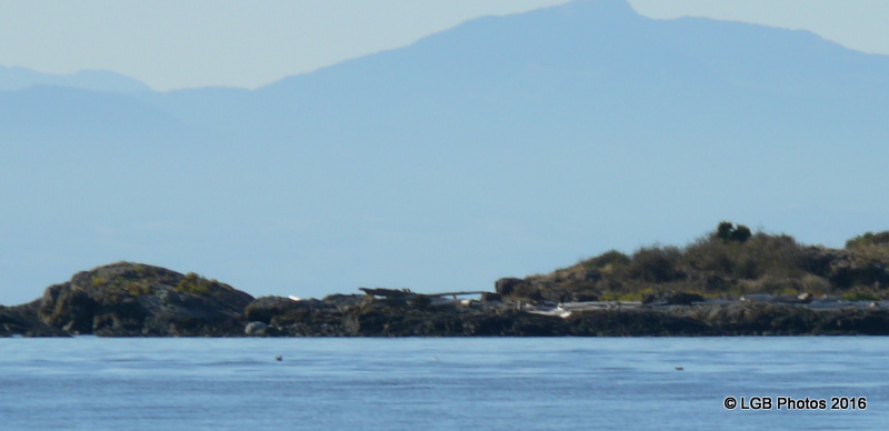 P1080234.JPG