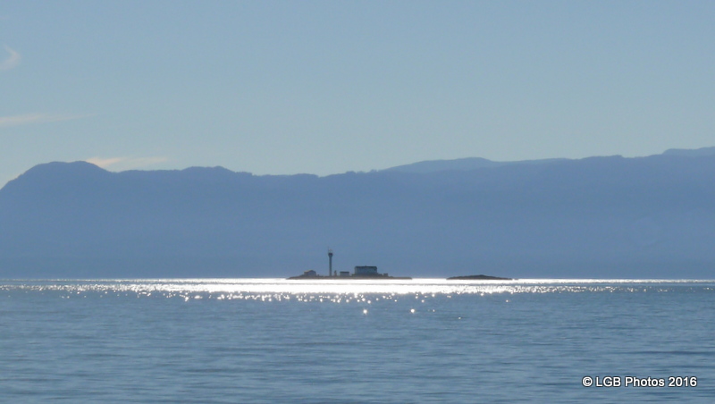 P1080247.JPG