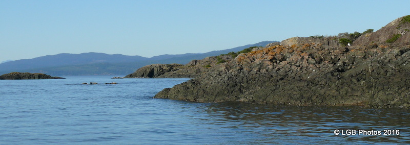 P1080254.JPG