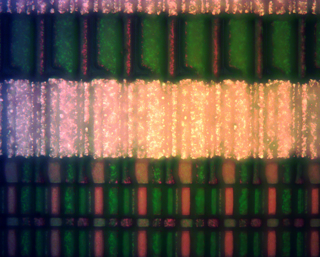 Color CCD at 100x