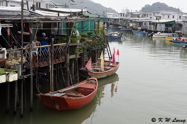 Tai O DSC_2937