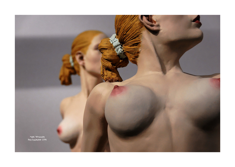 Art Paris 2014 - 13